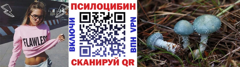 Галлюциногенные грибы Psilocybe  Ртищево 